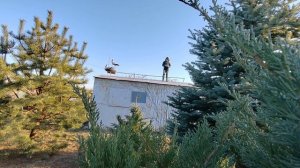 3 метра над уровнем земли😎