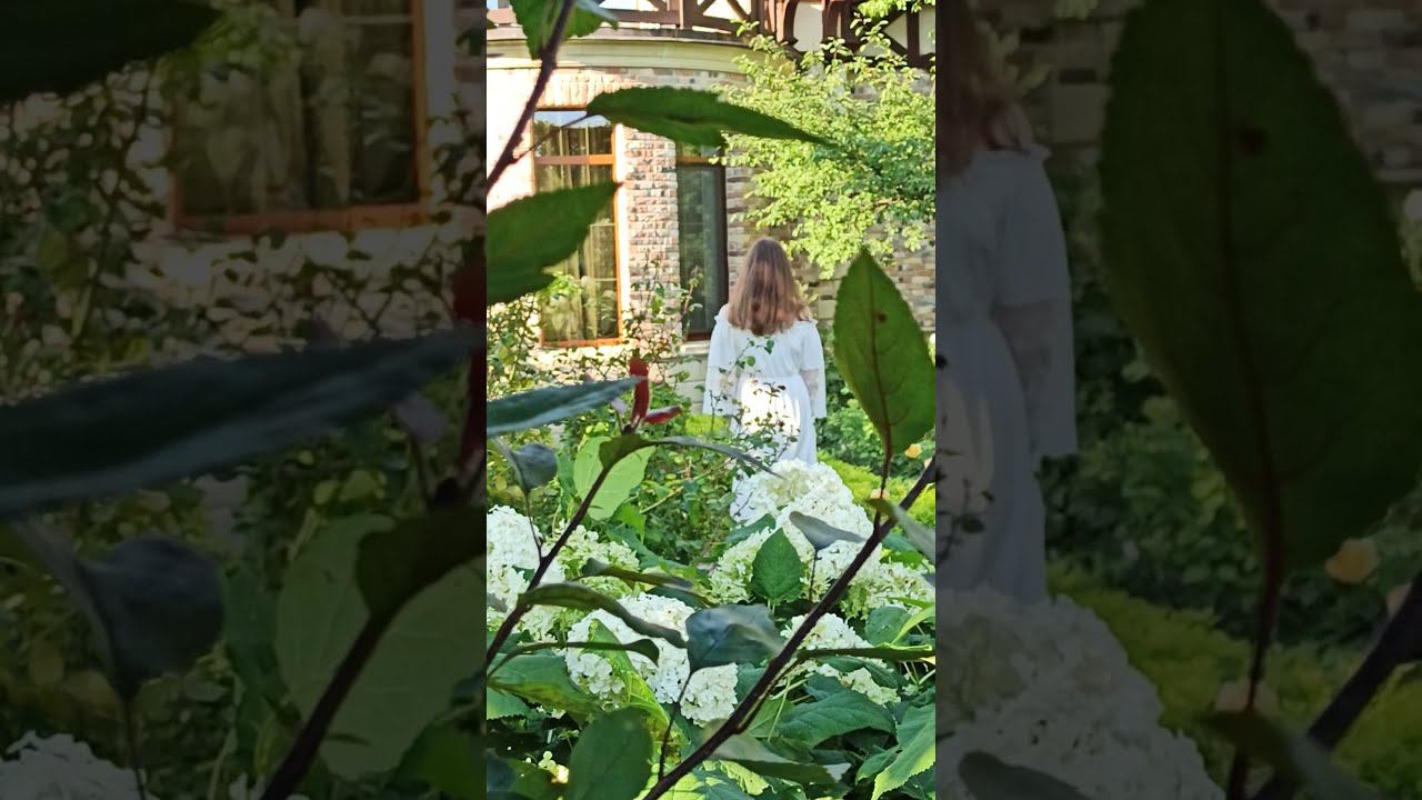 Ореховно смотреть онлайн