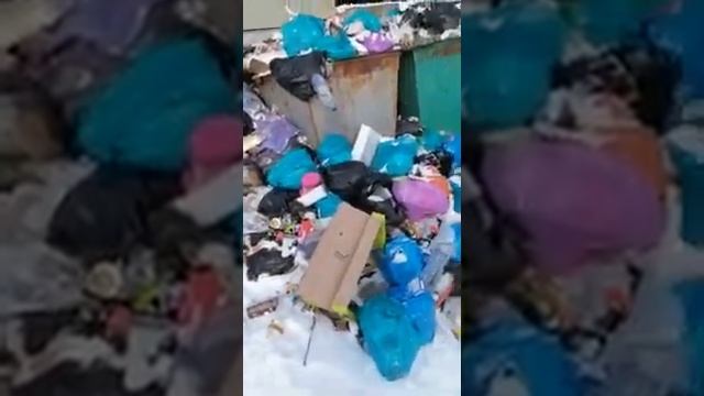 Старые мусорные баки на улице Северной с. Чехов нуждаются в замене на новые и уборке от мусора.