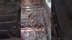 кованые ворота своими руками