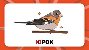 Буква "Ю". Учим буквы русского алфавита