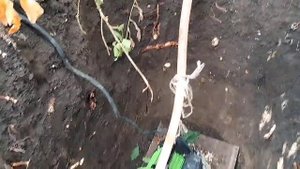 Добыча воды N_3. Раскачка Абиссинской скважины.