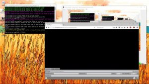 Tutorial - How to broadcast with OBS and MonaServer