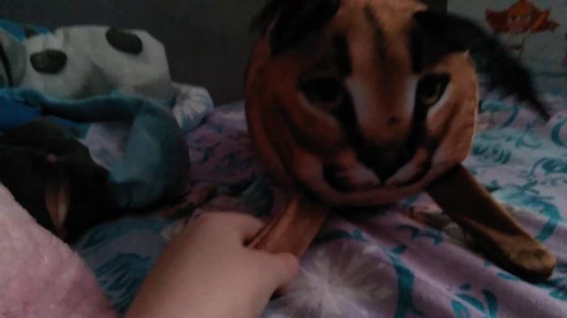 а мне подарил Дед мороз шлёпу. ?????? смотреть онлайн