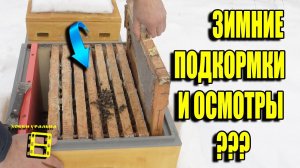 СПОСОБЫ ПОДКОРМКИ ПЧЕЛ ЗИМОЙ. ВОЗМОЖЕН ЛИ ОСМОТР ПЧЕЛ ЗИМОЙ?  ДЛЯ НАЧИНАЮЩИХ ПЧЕЛОВОДОВ 45-21