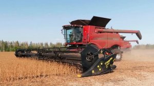 КФХ Гриднев жатка Honey Bee