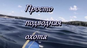 Просто подводная охота
