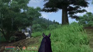 Relaxing Walk Across All Cities in Cyrodiil (Peaceful Oblivion Gameplay)