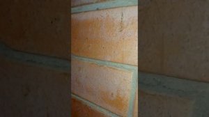 2,5 года печи-камина и щитка .