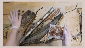 МАСТЕР КЛАСС "ПРОСТОЙ КОЛЛАЖ ИЗ ПРИРОДНЫХ МАТЕРИАЛОВ" - ЧАСТЬ 1