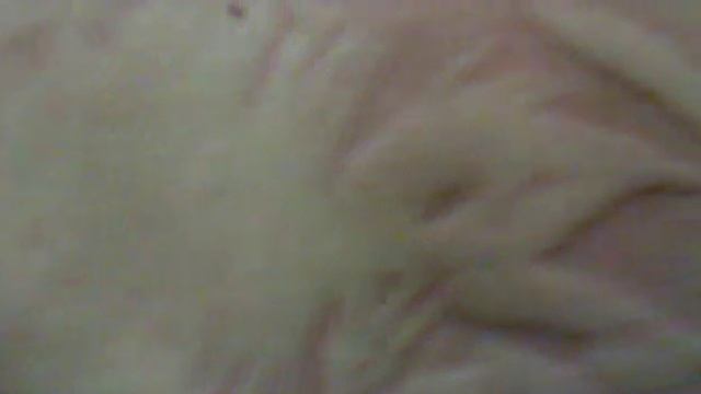 укус паука.mp4