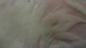 укус паука.mp4