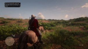 How to Find the Tiger Striped Bay Mustang at Rio Del Lobo Rock in Red Dead Redemption 2