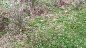 Продается дом в Грузии у моря | 2023