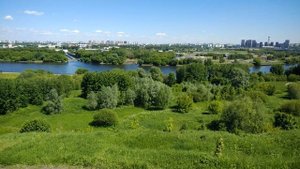 Парк коломенское в Москве. «Дьяково городище».