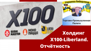 Холдинг Х100-Liberland. Отчётность.