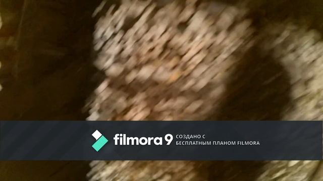 Первый день карантина!!! Работал как мог!!! Лопнул топор ....прилетело!!!! смотреть онлайн