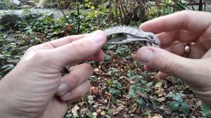 Сравнение подделок и оригинала фигурок Чужого и Хищника NECA