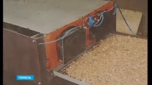 Инновации - в производство