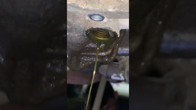 Gear Oil Change смотреть онлайн