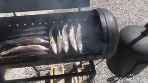 КОПЧЕНИЕ УСАЧА( охота и рыбалка в КБР группа в VK)Нальчик