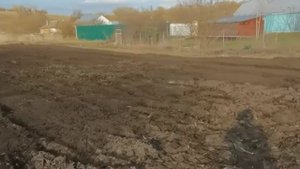 ГОТОВИМСЯ К ПОСАДКЕ КАРТОФЕЛЯ