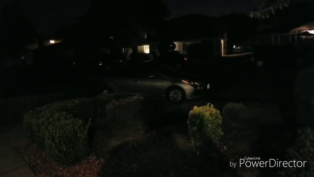 Клубничная плантация Pan Zmitser #борода смотреть онлайн