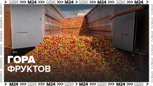 Фура с яблоками перевернулась на трассе в Краснодарском крае - Москва 24