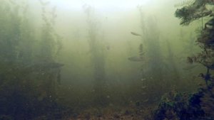 Рыбалка на ЩУКУ с ПОДВОДНЫМИ КАМЕРАМИ! АТАКА ЩУКИ! Ловля на кружки