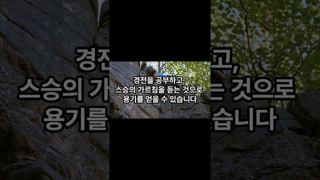 용기 courage_한국인이 좋아하는 속도로 보고 듣는 부처님말씀 명상 teaching meditation remind 불교 명언