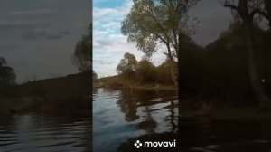 обзор мотор гладиатор 9'9 про(20л.с.) лодка Хантер 370 про с килем.