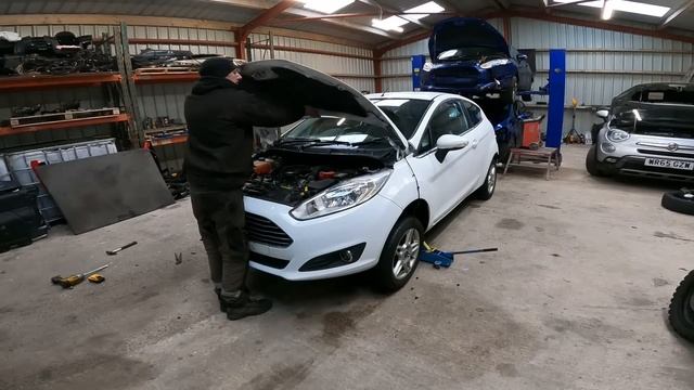 The Cheap Cheap Salvage Fiesta Is Finished - Actually Turned Out Looking OK!