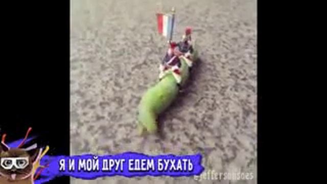 Сладкие попки!!!