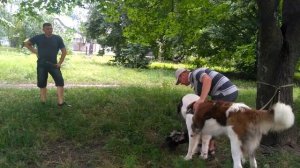 Первое занятие по охране. Часть 2. Московская сторожевая.