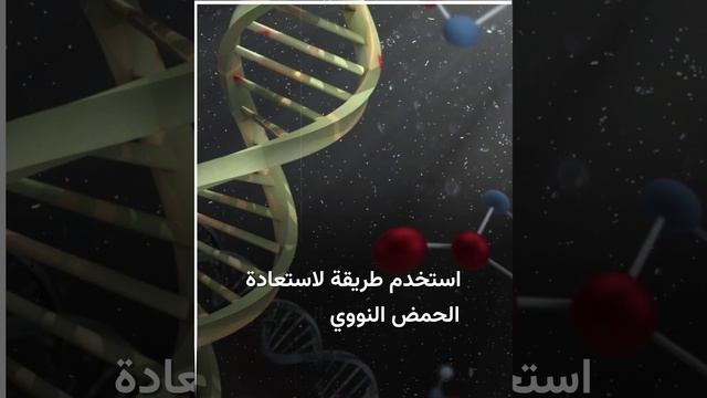 علماء يستخرجون الحمض النووي لامرأة من قطعة حلي عمرها 20 ألف عام