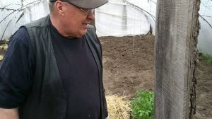 Выращивание томатов от А до Я. Часть 4. Высадка ранних томатов Китайский Девочка Супер Нова.