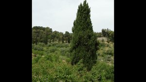 Если ты говоришь или пишешь о Боге, то молись и проси у Господа помощи и вразумления...