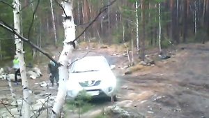 вортекс тинго что он может