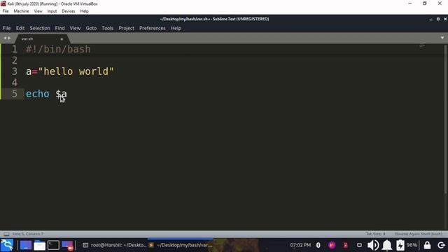 Variables,Printing Output,Executing Commands,Fetching Results. All In Bash Language смотреть онлайн