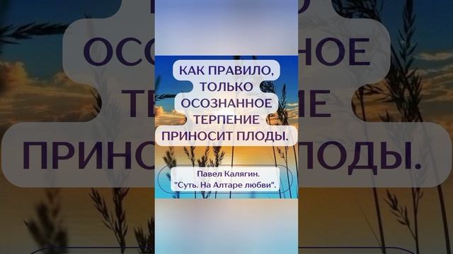 Как правило, только осознанное терпение приносит плоды.