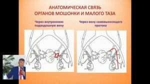Современные методы лечения и профилактики хронического простатита