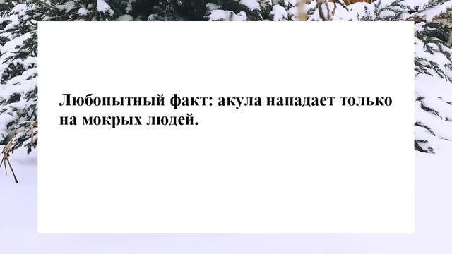 №24 ... Тут раздаётся стон... Смешные анекдоты. Отборные анекдоты. Веселые анекдоты. Смех. Ржака.