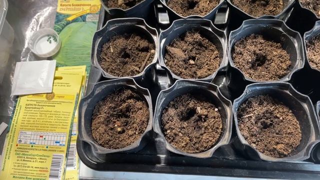 10 апреля Хроника рассадного периода / Всходы детерминантных томатов Посев капусты смотреть онлайн