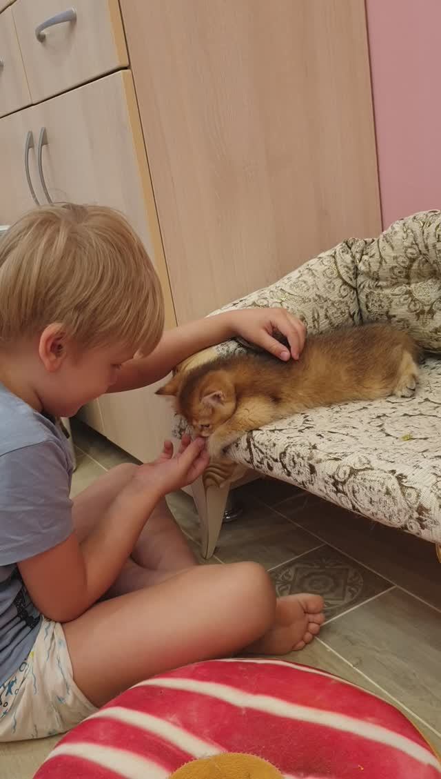 Сладкие малыши