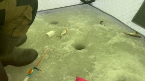 ЗИМНЯЯ РЫБАЛКА 2024