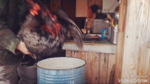 Как убрать индюка