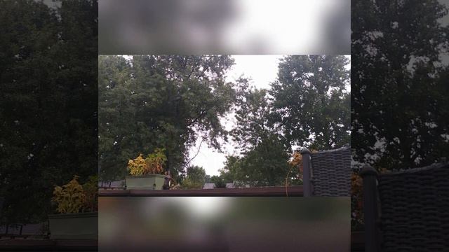 Hug all your friends ukulele cover смотреть онлайн