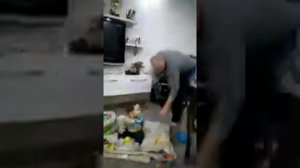 Doberman. Доберман.Защищает Малыша. #доберман#Wolf#animal#security#Doberman#