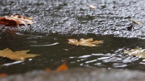 ВЕДЬМЫ в Церкви | КАК РАСПОЗНАТЬ? | КАНАЛ ЦЕЛЕБНОЕ СЛОВО