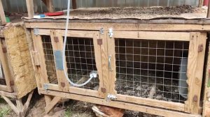 Решил завести кур несушек. Начал строить курятник.